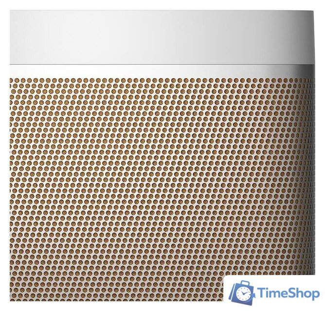 Беспроводная колонка Bang & Olufsen Beolit 20 (серый) - Изображение №8 — Интернет-магазин Time-Shop