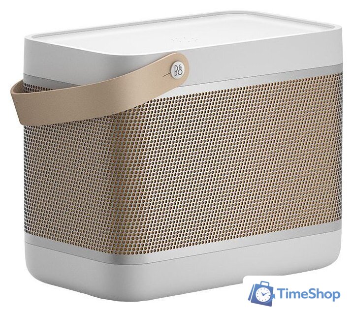 Беспроводная колонка Bang & Olufsen Beolit 20 (серый) - Изображение №1 — Интернет-магазин Time-Shop