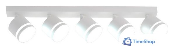 Спот TruEnergy 21023 - Изображение №1 — Интернет-магазин Time-Shop