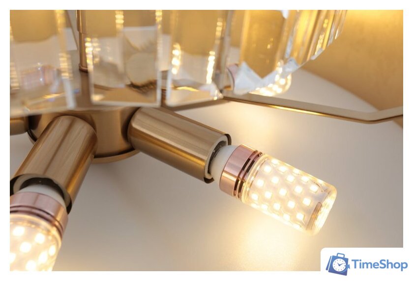  Rivoli Vickie 1051-306 Б0061902 - Изображение №4 — Интернет-магазин Time-Shop