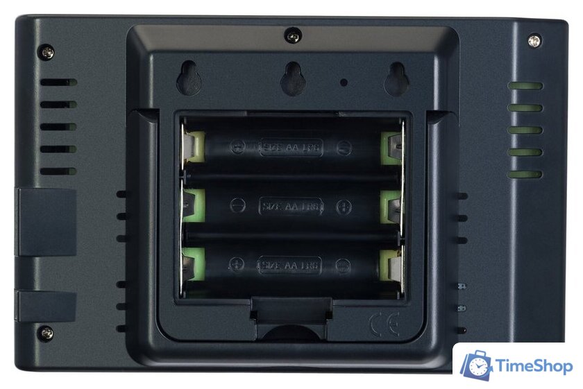 Термометр Levenhuk Wezzer PRO LP240 82934 - Изображение №5 — Интернет-магазин Time-Shop