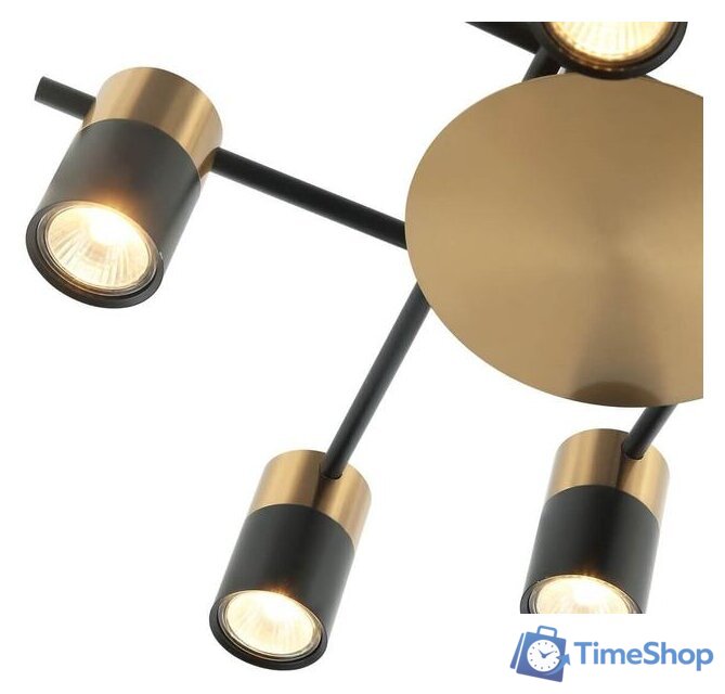 Припотолочная люстра Favourite Topper 2825-8P - Изображение №2 — Интернет-магазин Time-Shop