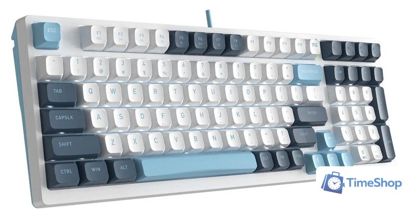 Клавиатура A4Tech Fstyler FS300 Panda Snowboarding - Изображение №3 — Интернет-магазин Time-Shop