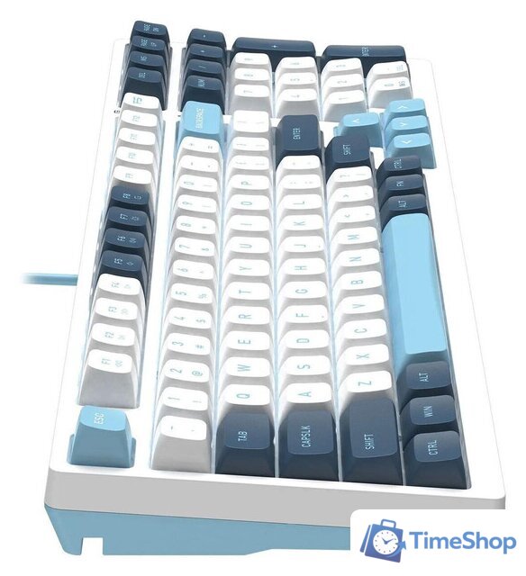 Клавиатура A4Tech Fstyler FS300 Panda Snowboarding - Изображение №9 — Интернет-магазин Time-Shop