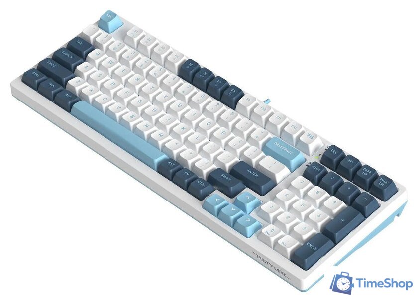 Клавиатура A4Tech Fstyler FS300 Panda Snowboarding - Изображение №6 — Интернет-магазин Time-Shop