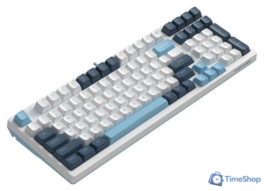 Клавиатура A4Tech Fstyler FS300 Panda Snowboarding - Изображение №5 — Интернет-магазин Time-Shop