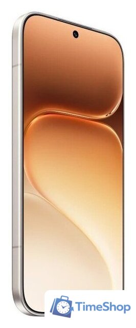 Телефон HONOR 600 Pro Dual SIM 12GB/512GB международная версия (бежевый) - Изображение №4 — Интернет-магазин Time-Shop