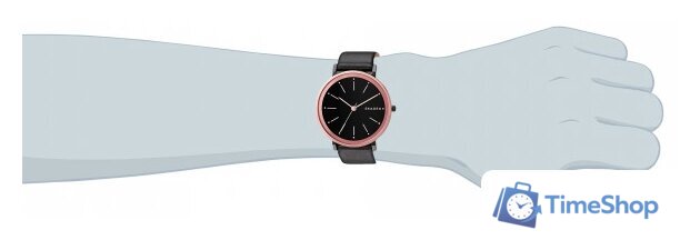 Наручные часы Skagen SKW2490 - Изображение №8 — Интернет-магазин Time-Shop