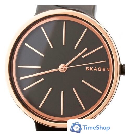 Наручные часы Skagen SKW2490 - Изображение №3 — Интернет-магазин Time-Shop