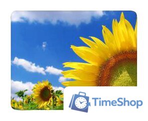 Коврик для мыши Buro BU-M20036 - Изображение №1 — Интернет-магазин Time-Shop