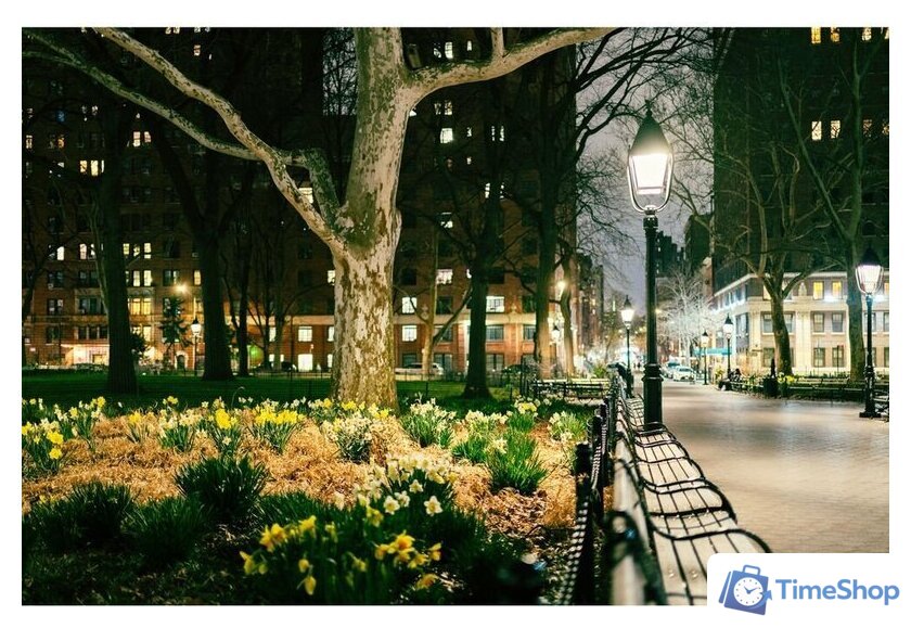 Объектив Nikon Z 35mm f/1.4 - Изображение №14 — Интернет-магазин Time-Shop