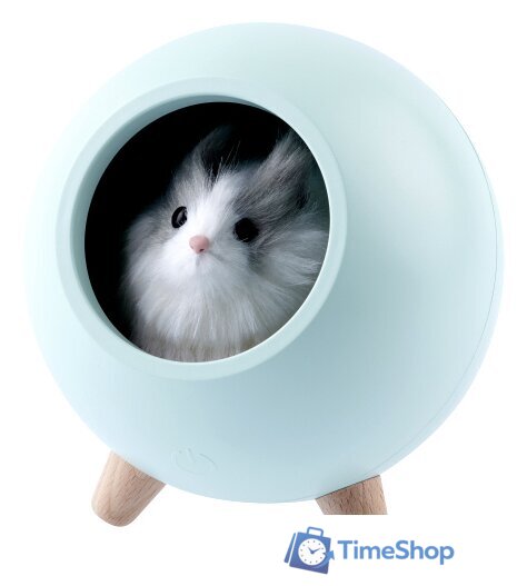 Осевой вентилятор Soler&Palau Silent-100 CZ Ecowatt 5210610000 - Изображение №5 — Интернет-магазин Time-Shop