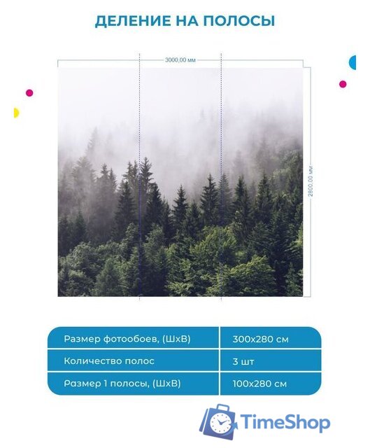 Фотообои ФабрикаФресок Туманный лес 193280 (300x280) - Изображение №4 — Интернет-магазин Time-Shop