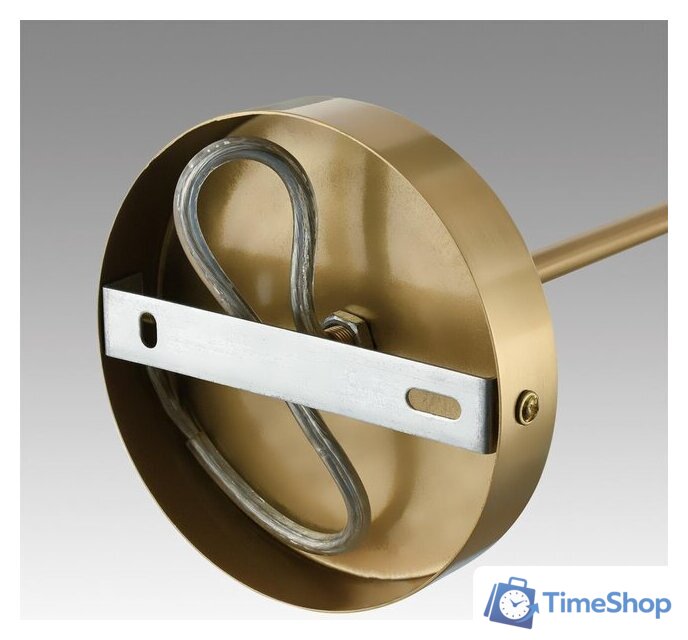 Подвесная люстра Lumion Anri 6590/8 - Изображение №5 — Интернет-магазин Time-Shop