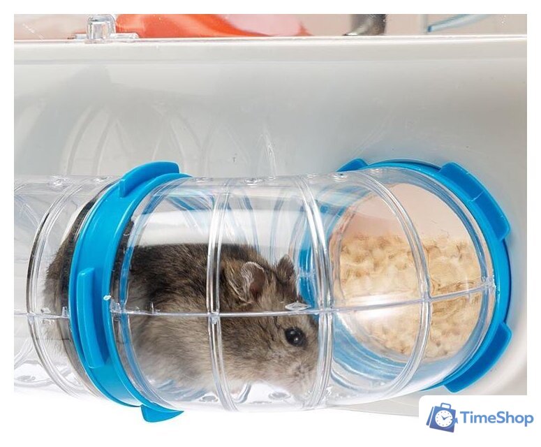 Клетка Ferplast Combi 1 (белый) 57923499 - Изображение №8 — Интернет-магазин Time-Shop