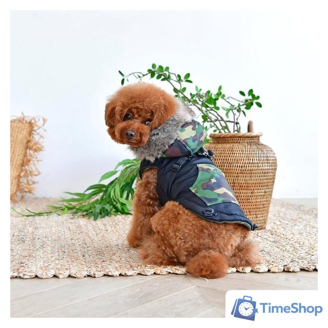 Жилетка для животных Puppia Orson PARD-VT1569-BK-L (черный) - Изображение №4 — Интернет-магазин Time-Shop