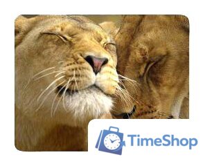 Коврик для мыши Buro BU-M40030 - Изображение №1 — Интернет-магазин Time-Shop