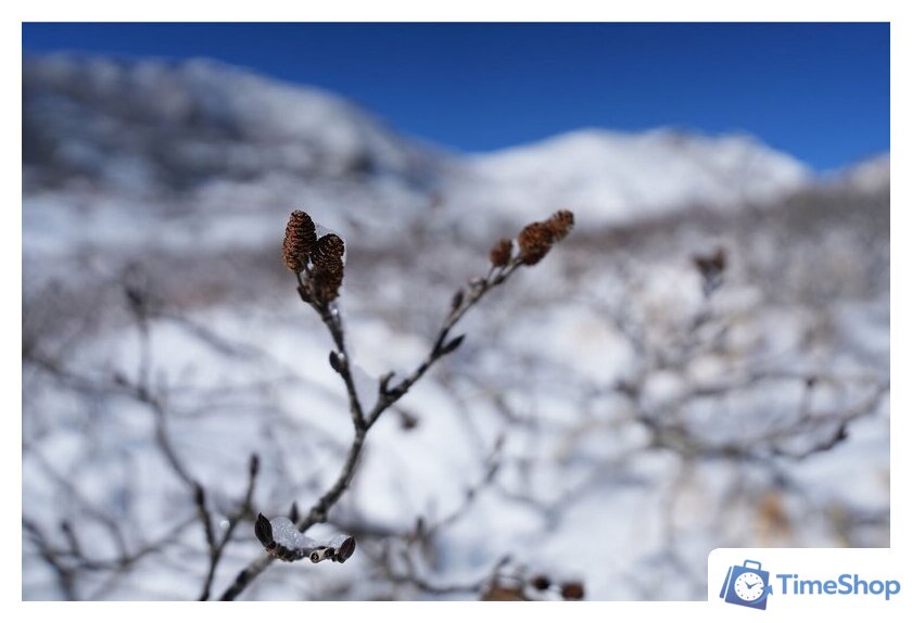 Объектив Sony FE 16-25mm F2.8 G - Изображение №19 — Интернет-магазин Time-Shop