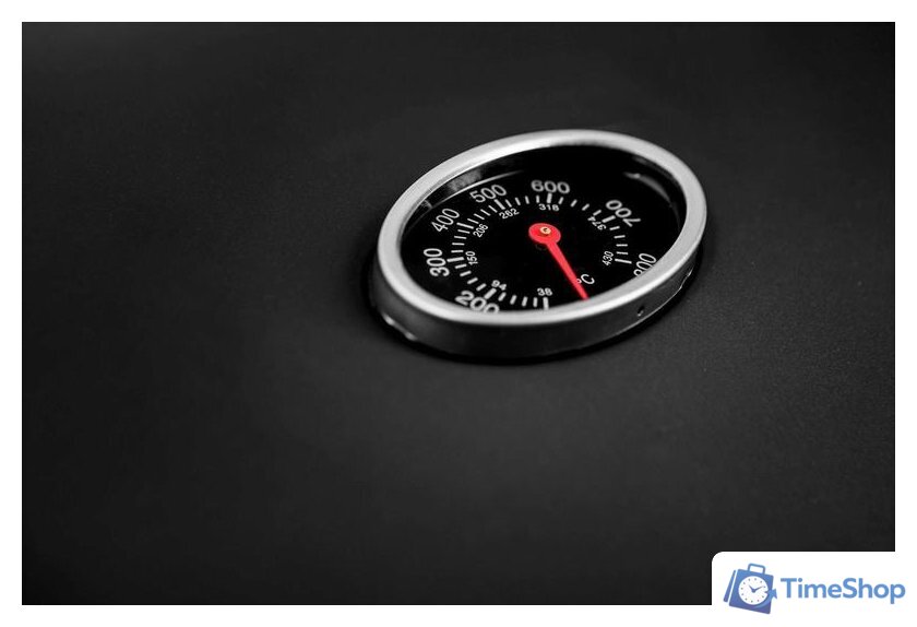 Газовый гриль для дачи Activa California 3+1 19788 - Изображение №12 — Интернет-магазин Time-Shop