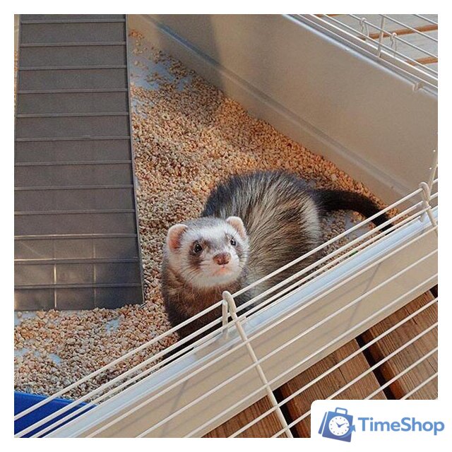 Клетка Ferplast Furet Tower 57063414 - Изображение №9 — Интернет-магазин Time-Shop