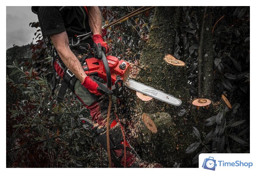 Аккумуляторная пила Milwaukee M18 FTHCHS30-0 4933479586 (без АКБ) - Изображение №16 — Интернет-магазин Time-Shop