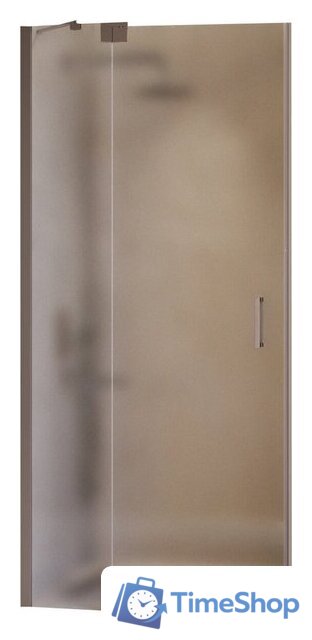 Душевая дверь RGW HO-014Gr 350601414-210 - Изображение №1 — Интернет-магазин Time-Shop