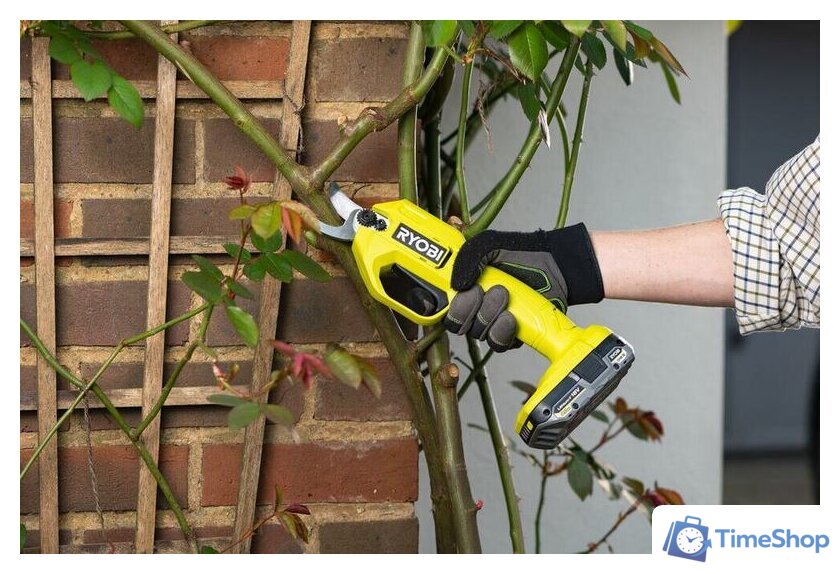 Секатор Ryobi RY18SCA-0 5133005024 (без АКБ) - Изображение №8 — Интернет-магазин Time-Shop