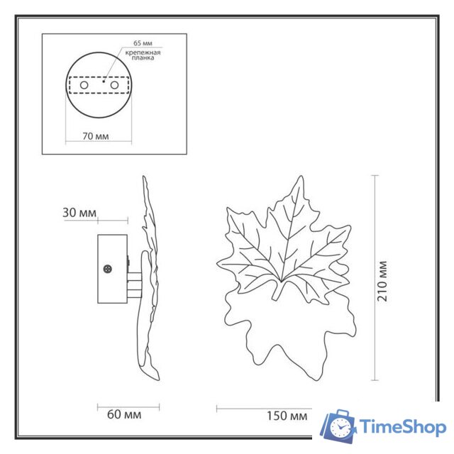 Бра Odeon Light Eva 4371/3WL - Изображение №6 — Интернет-магазин Time-Shop