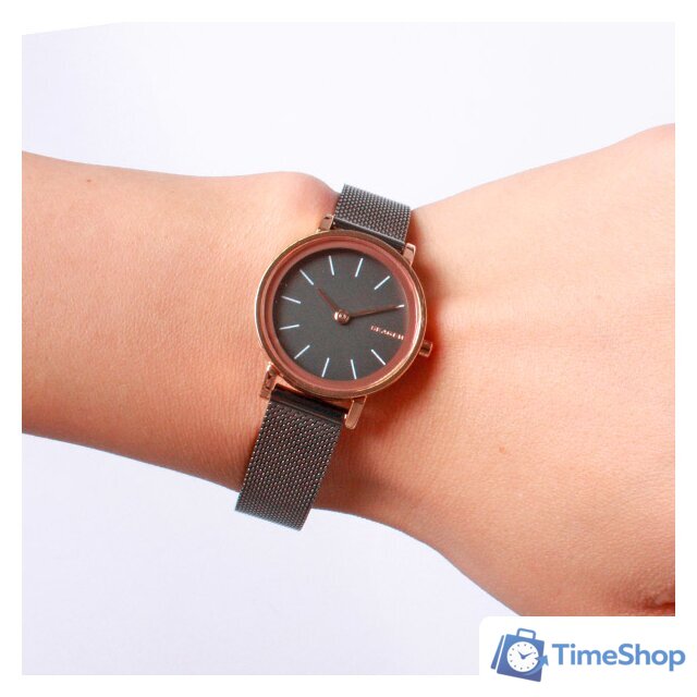 Наручные часы Skagen SKW2492 - Изображение №10 — Интернет-магазин Time-Shop