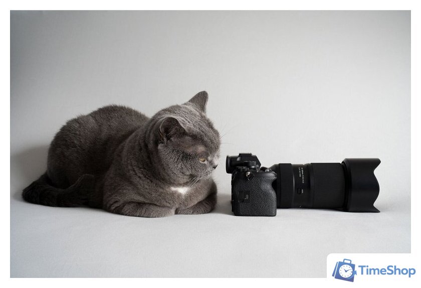 Объектив Tamron 50-300mm F/4.5-6.3 Di III VC VXD - Изображение №14 — Интернет-магазин Time-Shop