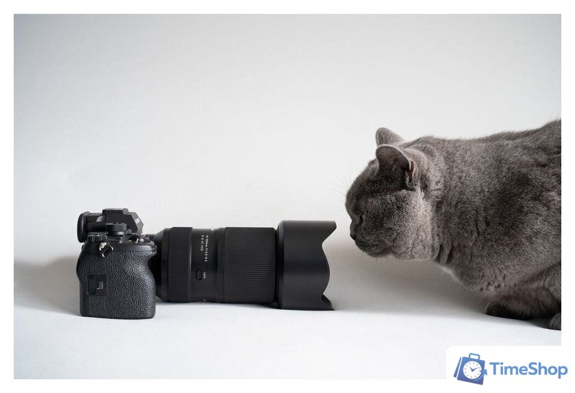 Объектив Tamron 50-300mm F/4.5-6.3 Di III VC VXD - Изображение №15 — Интернет-магазин Time-Shop