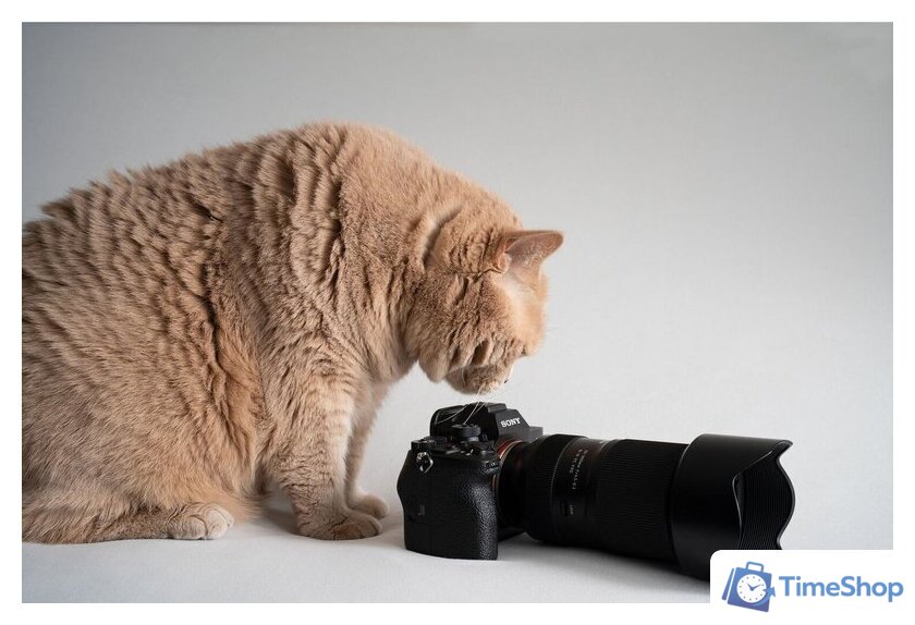 Объектив Tamron 50-300mm F/4.5-6.3 Di III VC VXD - Изображение №16 — Интернет-магазин Time-Shop