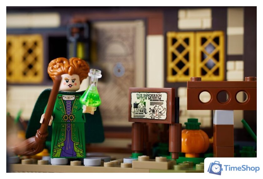 Конструктор LEGO Ideas 21341 Фокус-Покус: Коттедж сестер Сандерсон - Изображение №17 — Интернет-магазин Time-Shop