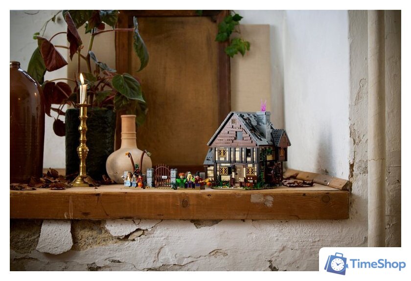 Конструктор LEGO Ideas 21341 Фокус-Покус: Коттедж сестер Сандерсон - Изображение №20 — Интернет-магазин Time-Shop