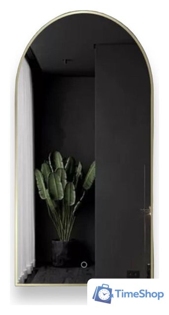 Зеркало EMZE Led с подсветкой и УФ-окантовкой 50x100 LED.UV.ARC.50.100.AUR (золото) - Изображение №1 — Интернет-магазин Time-Shop