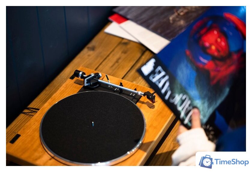 Виниловый проигрыватель Rekkord Audio F400 (2M Red, коричневый) - Изображение №2 — Интернет-магазин Time-Shop