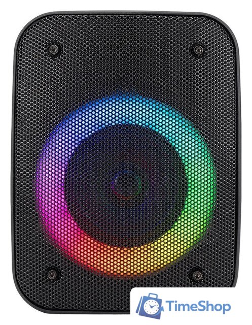 Беспроводная колонка Hyundai H-PS1005 - Изображение №1 — Интернет-магазин Time-Shop