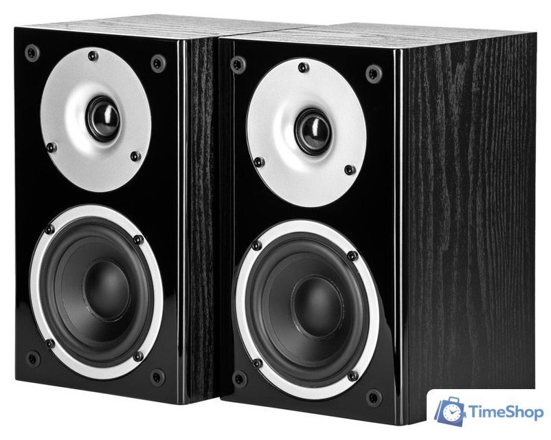 Полочная акустика WILSON Raptor Mini (черный) - Изображение №1 — Интернет-магазин Time-Shop