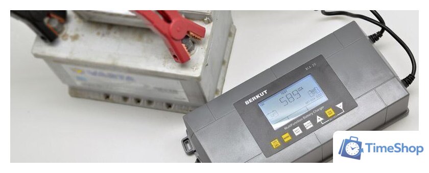 Зарядное устройство Беркут BCA-25 - Изображение №5 — Интернет-магазин Time-Shop