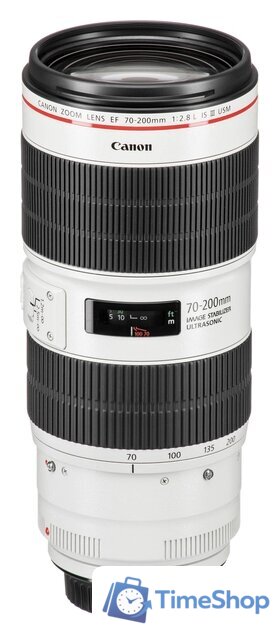 Объектив Canon EF 70-200mm f/2.8L IS III USM - Изображение №4 — Интернет-магазин Time-Shop