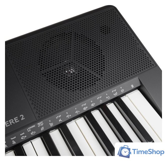 Синтезатор Rockdale Premiere 2 - Изображение №11 — Интернет-магазин Time-Shop