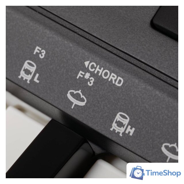 Синтезатор Rockdale Premiere 2 - Изображение №15 — Интернет-магазин Time-Shop