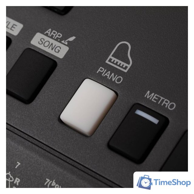 Синтезатор Rockdale Premiere 2 - Изображение №13 — Интернет-магазин Time-Shop