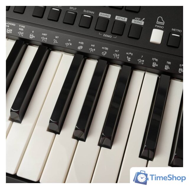 Синтезатор Rockdale Premiere 2 - Изображение №10 — Интернет-магазин Time-Shop