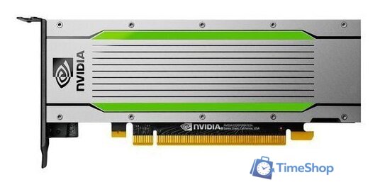 Видеокарта NVIDIA Tesla T4 16GB GDDR6 900-2G183-6300-T00 - Изображение №1 — Интернет-магазин Time-Shop