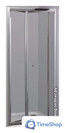 Душевая дверь RGW CL-21 04092111-11 110 см (прозрачное стекло) - Изображение №1 — Интернет-магазин Time-Shop