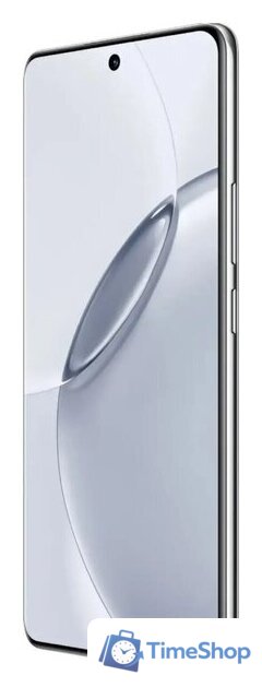 Телефон Realme 16 Pro+ 5G 8GB/256GB международная версия (серый) - Изображение №6 — Интернет-магазин Time-Shop