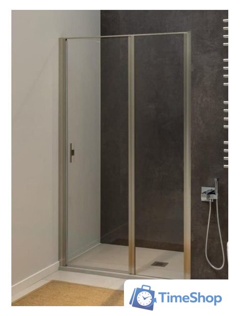 Душевая дверь Allen Brau Priority 3.31026.BA 294055 (серебро браш) - Изображение №2 — Интернет-магазин Time-Shop