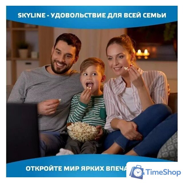 Телевизор Skyline 43LST6385 - Изображение №5 — Интернет-магазин Time-Shop