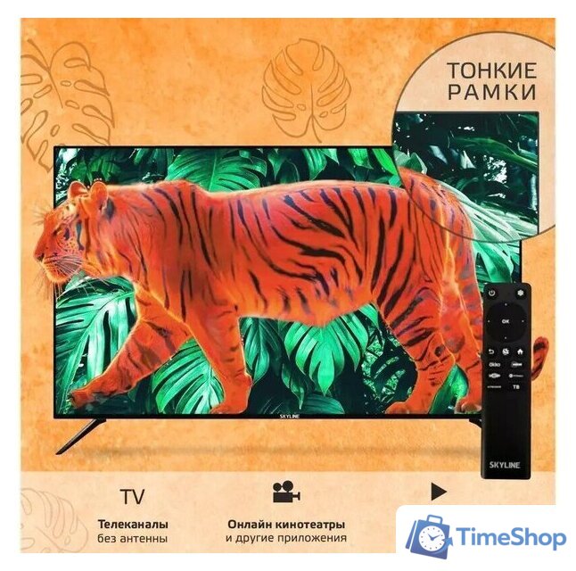 Телевизор Skyline 43LST6385 - Изображение №8 — Интернет-магазин Time-Shop
